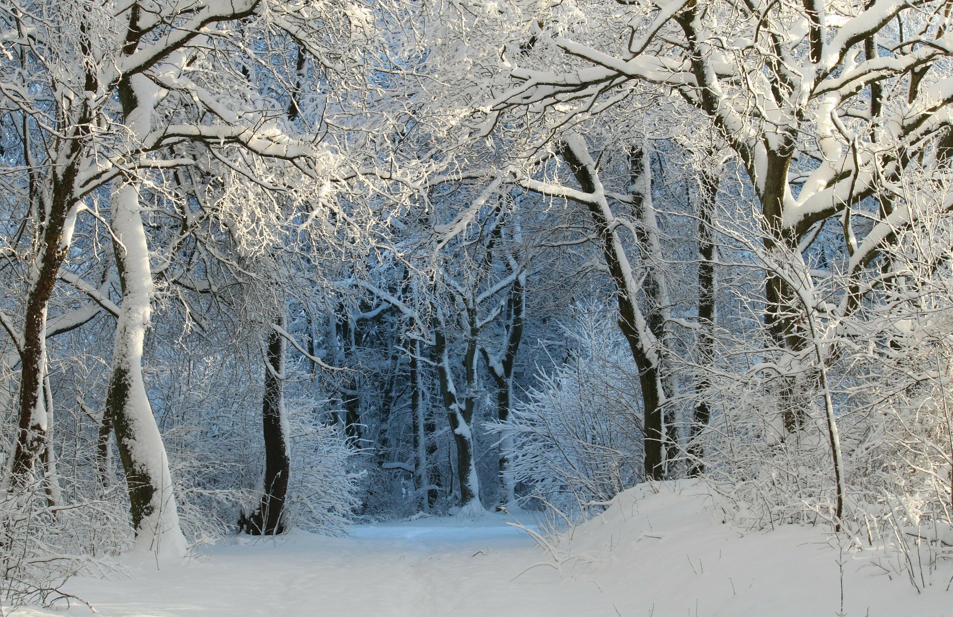 Winterlandschaft als Inspiration zur Wintersonnenwende